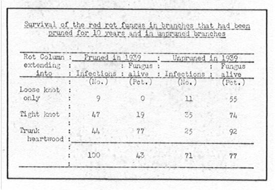 Table of survival of the red rot fungus in brabches that had been pruned for 10 years and unpruned branches