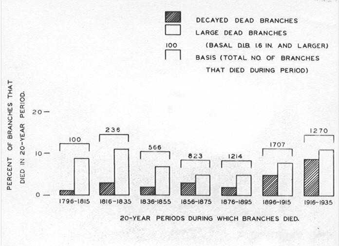 Bar diagram showing relationship between size and infection in branches that died during the 20 year periods between 1796 and 1935