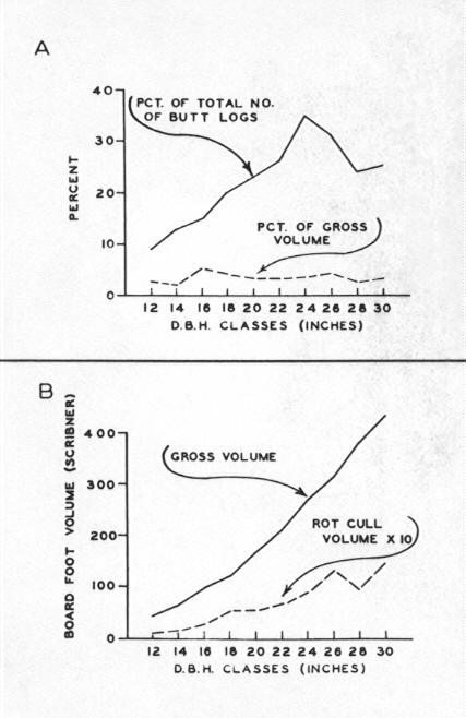 Relationship of heart rot in butt logs only to tree size in the 150(141-160) year age class