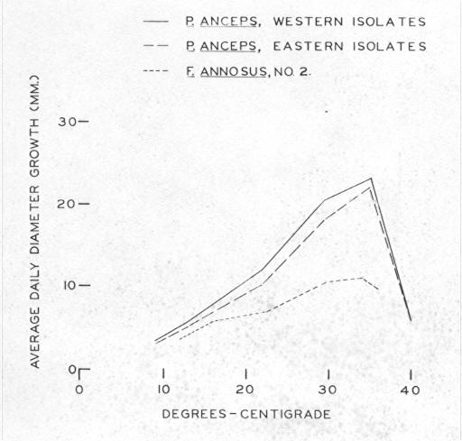 Average daily diameter growth for 25 western and 8 eastern isolates when grown on 2-percent malt agar in darkness at 6 different temperatures as compared to Fomes annosus