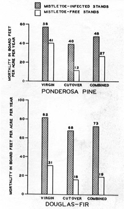 Bar diagram showing mortality in board ft. per acre per year by stand condition