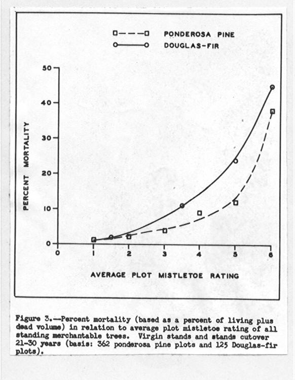 Graph showing percent mortality in relation to average plot mistletoe rating of all standing merchantable trees
