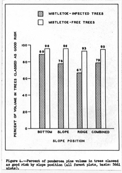 Bar diagram showing percent of ponderosa pine volume in trees classed as good risk by slope position