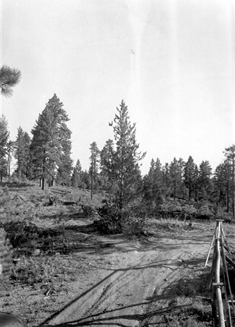 Looking to NE from water tank near Ranger Dorm