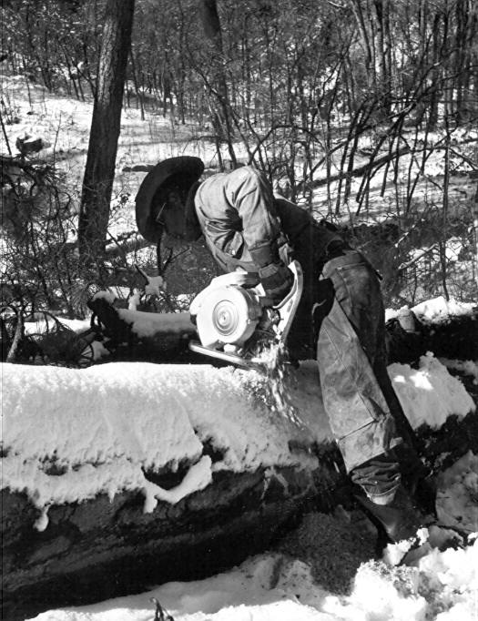 Charley Watchman bucking log at four-foot intervals