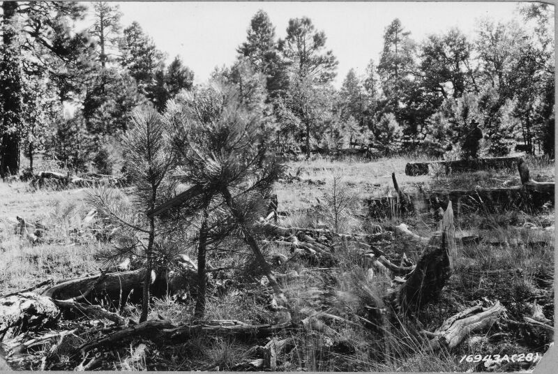 Coulter Ranch