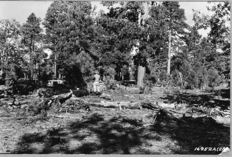 Coulter Ranch