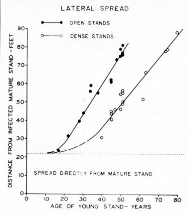 Maximum distances of invasion of mistletoe from mature lodgepole pine stands into regeneration, based on 31 study areas in Colo. and Wyoming.