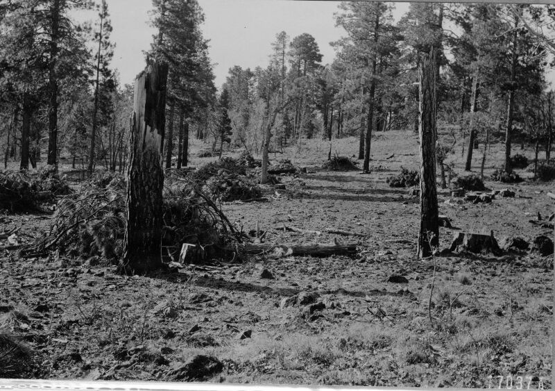 Coulter Ranch