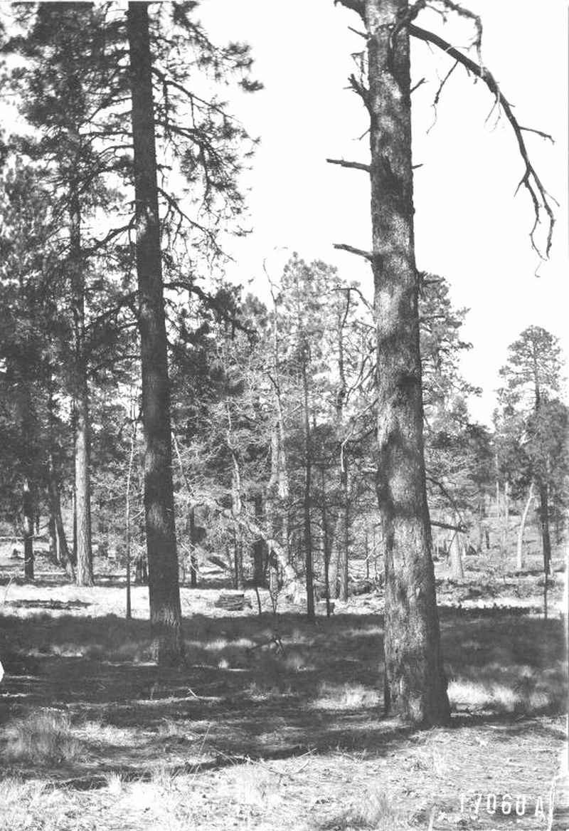 Coulter Ranch