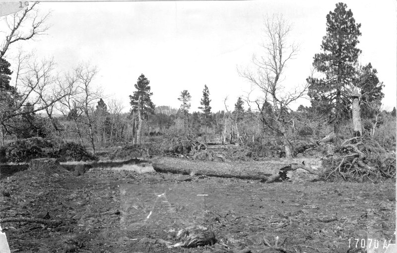 Fort Valley Experimental Forest, Coulter Ranch