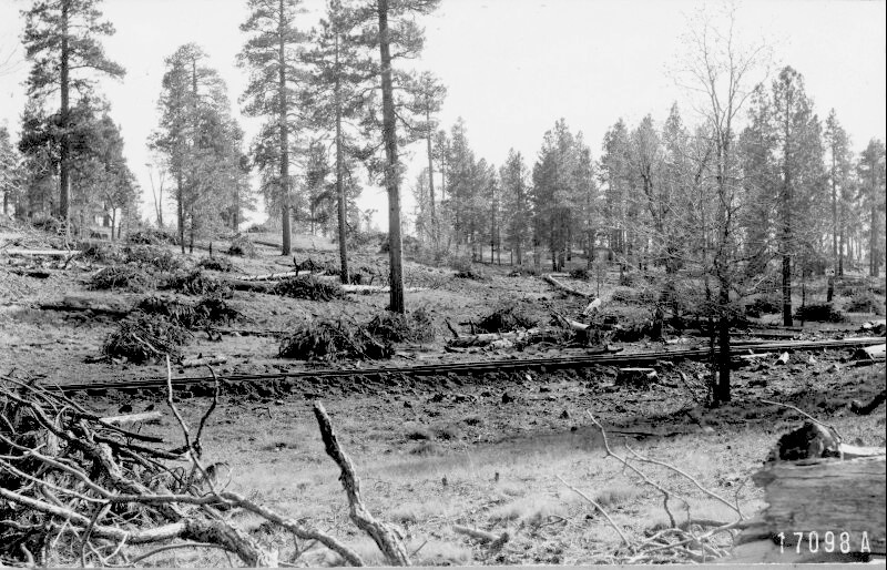 Coulter Ranch