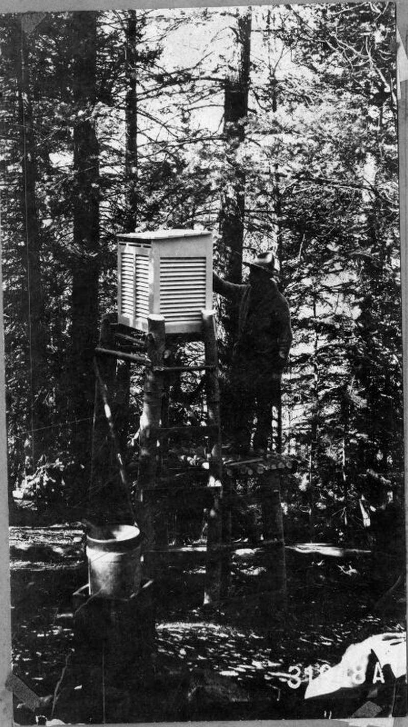 Douglas-fir station 