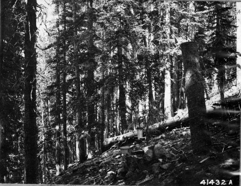 Weather Station on San Francisco Peaks
