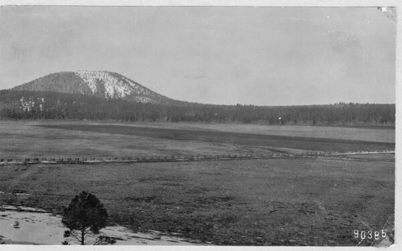 snow melt in park