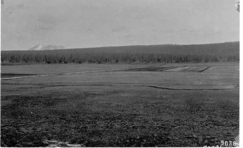 snow melt in park