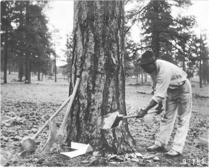 Turpentine Experiment
