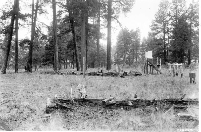 Meteorological station in ponderosa pine forest