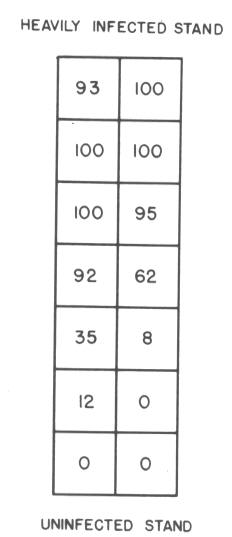 Diagram of a typical transect showing the series of paired 1/4  by 1/4 chain plots