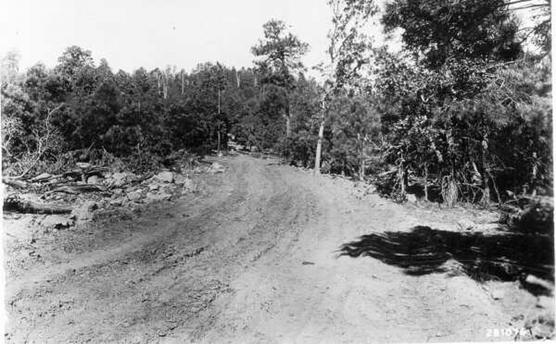 Tractor roads make excellent fire lines 