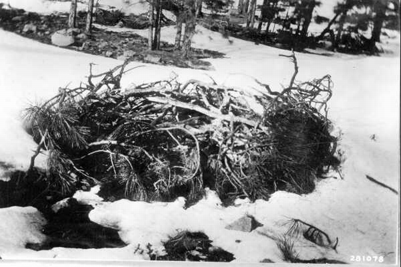 Brush burning