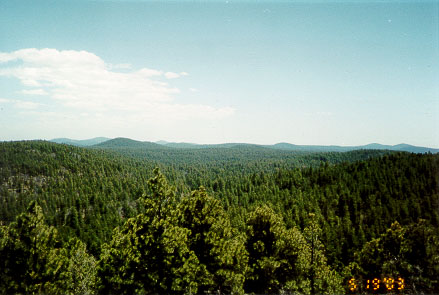 Scenic overview of the Bar M watershed