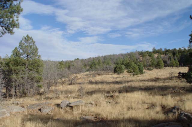 Watershed 12, 21 years after the  Beaver Creek Pilot Program ceased operation