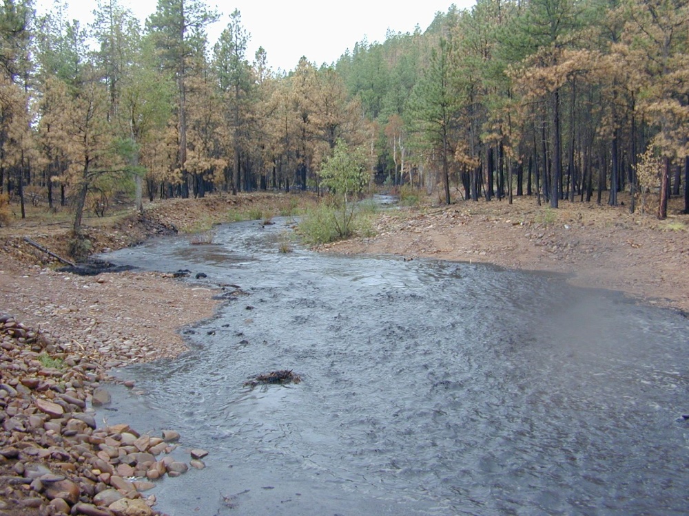 A flood of ash and sediment fills the washes in the white mountains after the fire