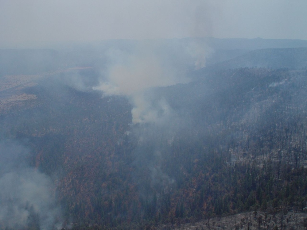 still from a video file still from a video file