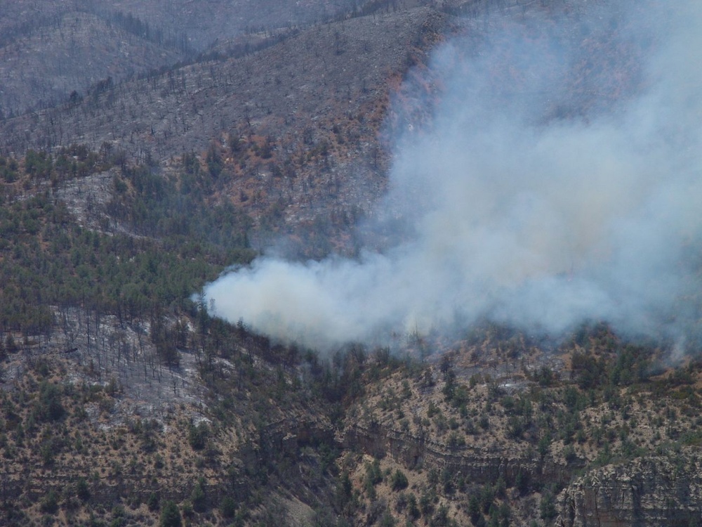 still from a video file still from a video file