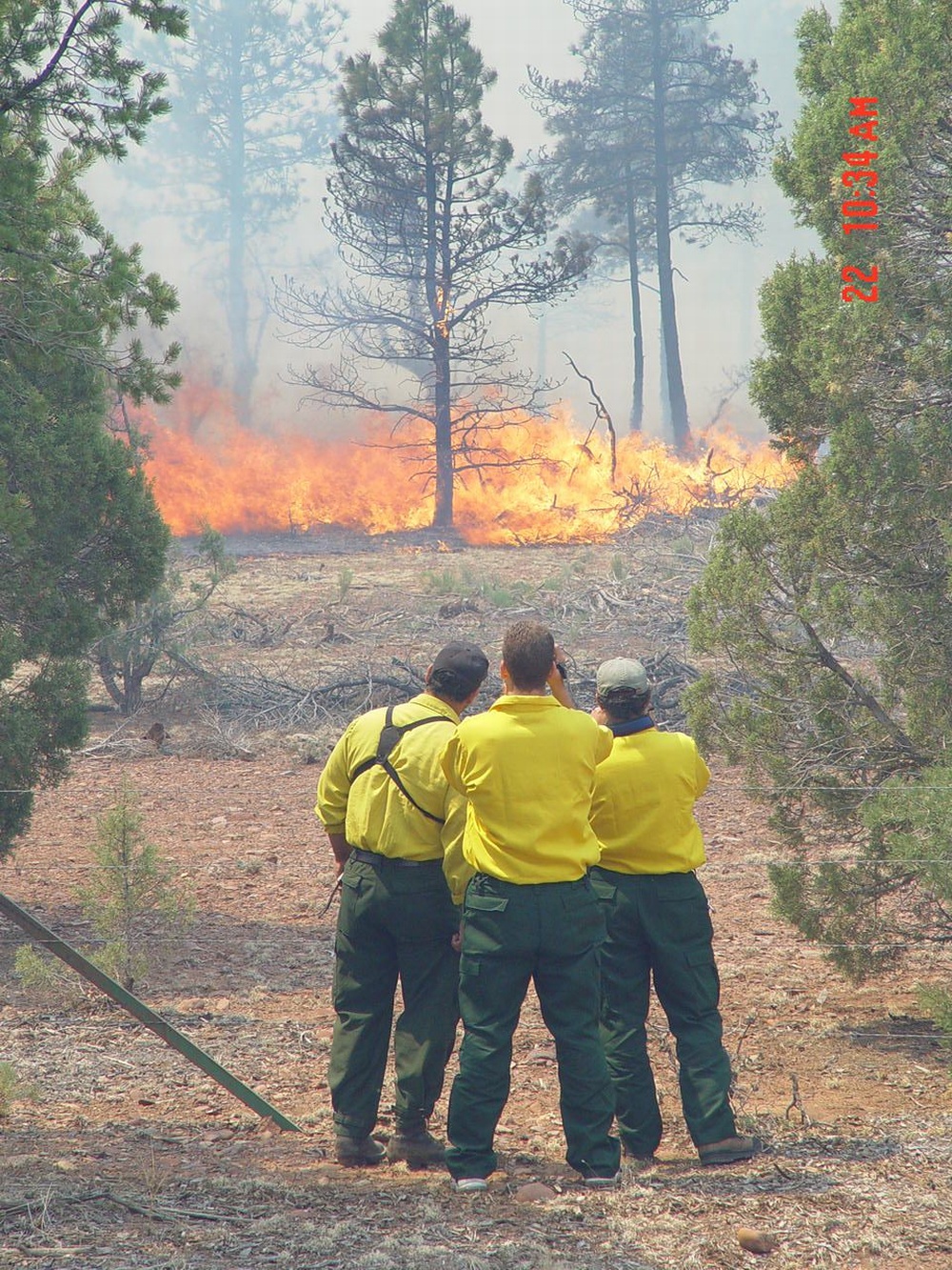 Fire-fighters are taking the opportunity to take a picture of the blaze from a safe distance.