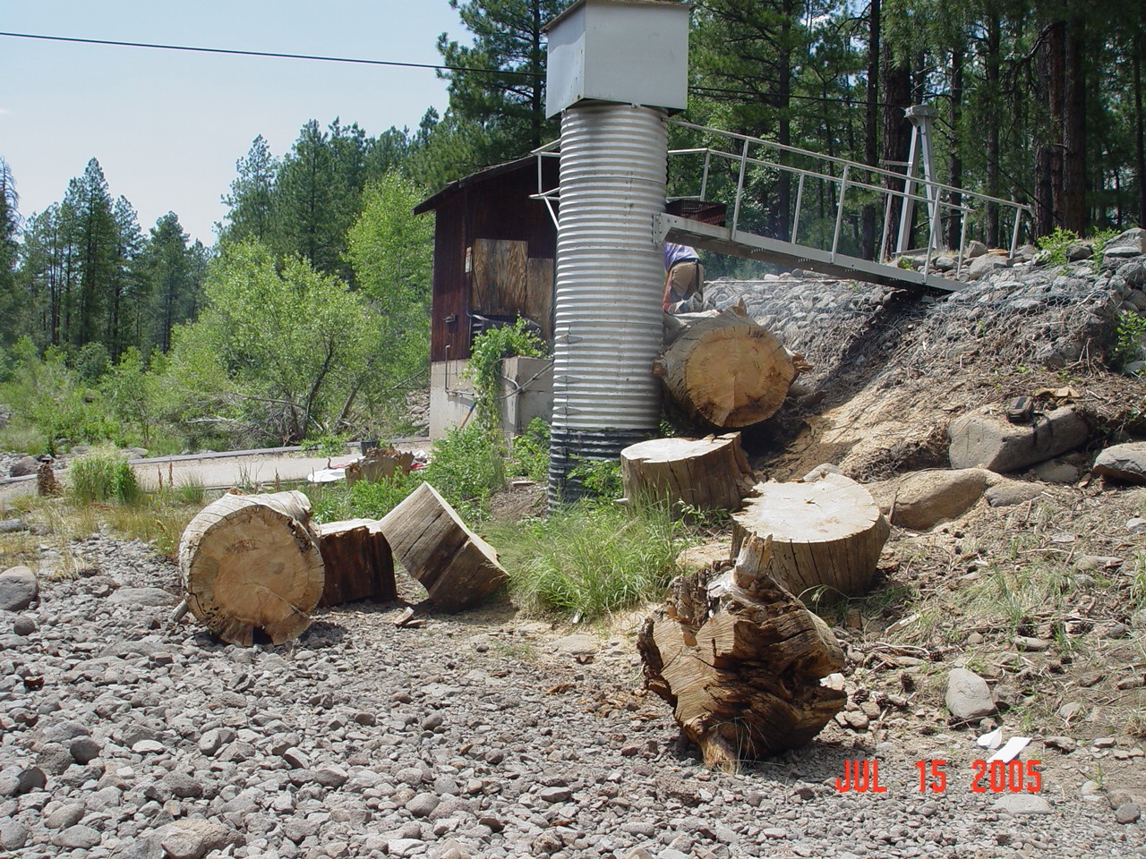 Boris is cutting up a snag deposited behind the Bar M stilling well by an earlier flow event, so that it can be easily removed. Here he is about half way done.