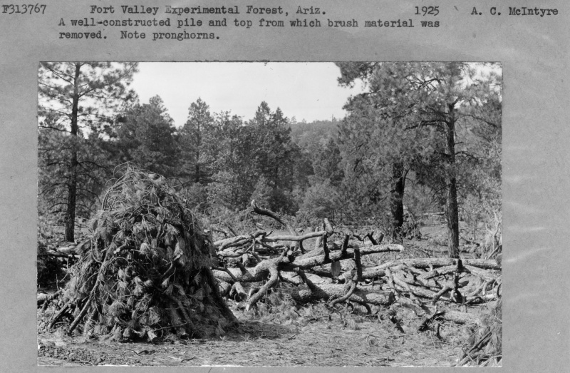 Constructed slash pile