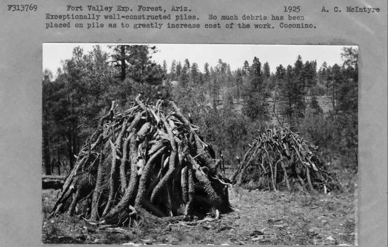 Constructed slash pile