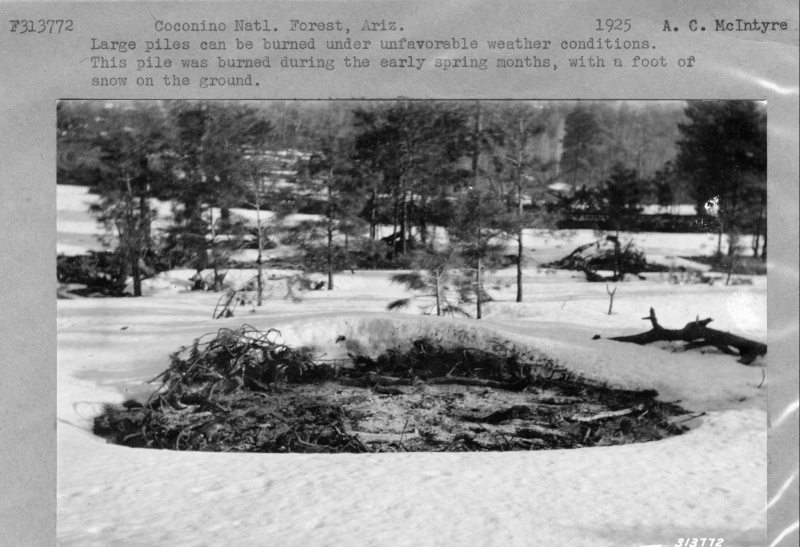 Brush pile for burning early spring and a foot of snow