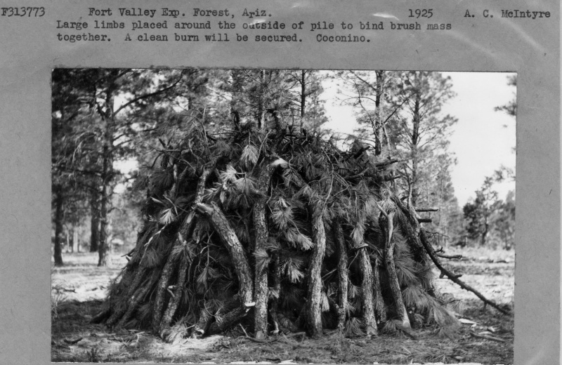 Large limb pile to bind brush mass together for clean burn