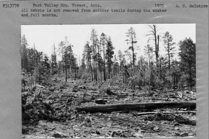 Debris not removed from skidder trail during winter months