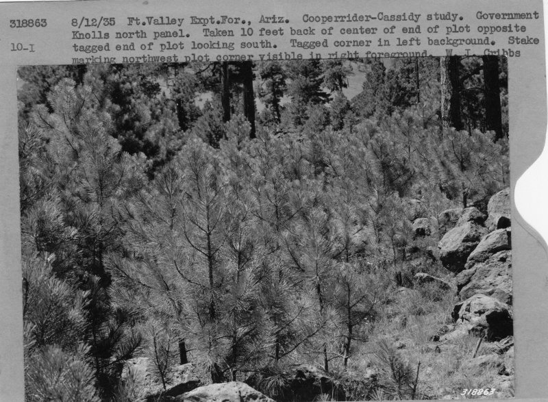 Govt. Knolls north panel