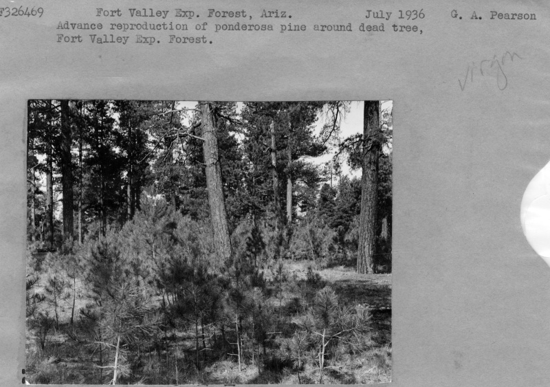 Advanced reproduction