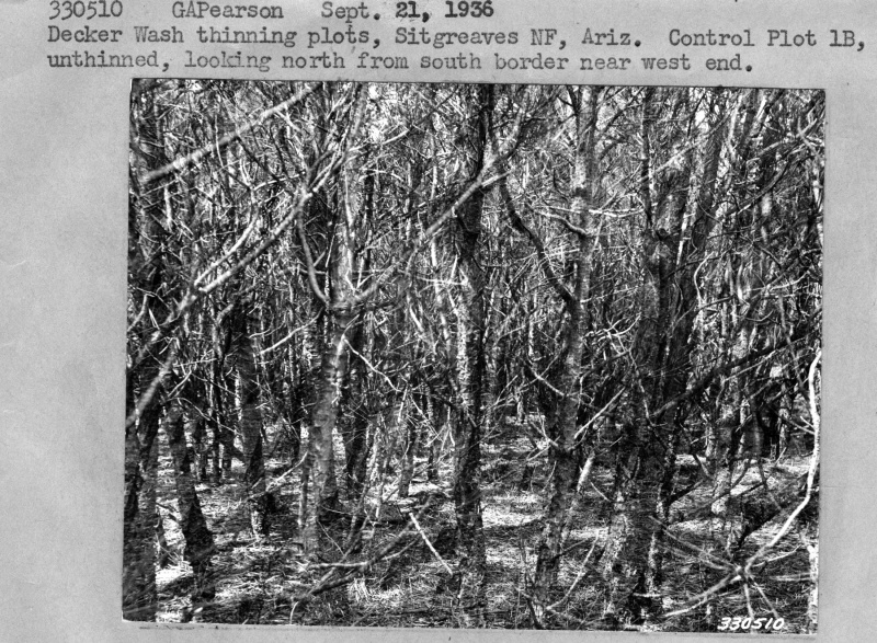 Decker Wash Thinning plots
