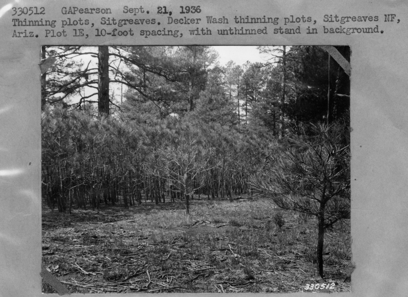 Thinning plots
