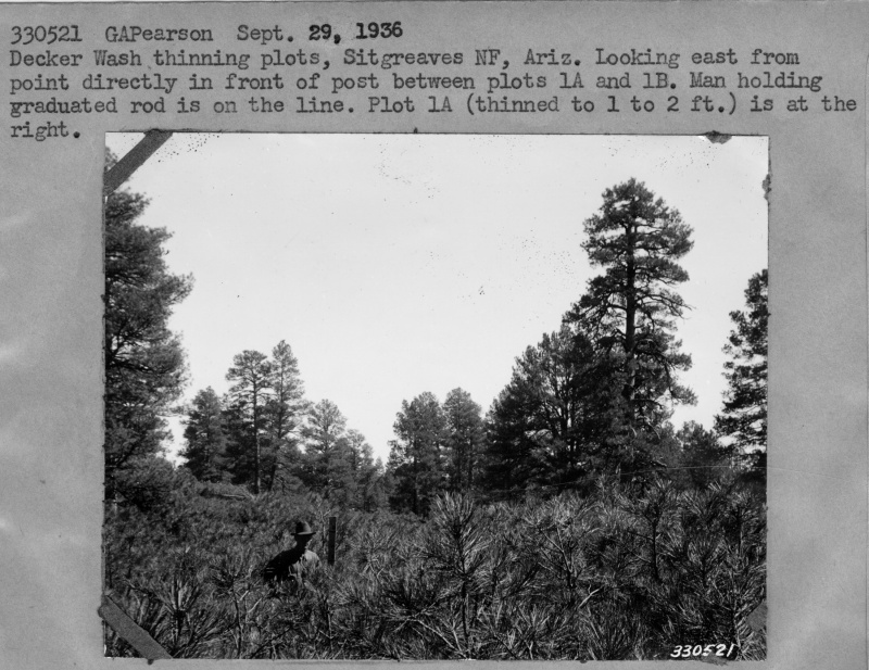 Decker Wash Thinning plots