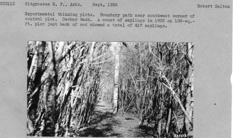 Experimental thinning plots