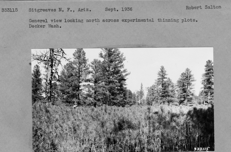 Experimental thinning plots