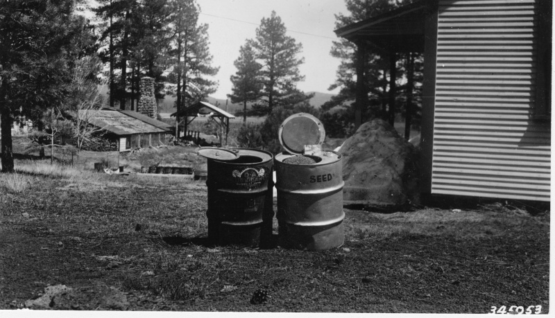 Drum holds 160 lbs. of ponderosa pine seed
