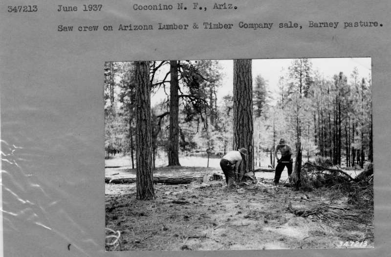 Ariz. Lumber and Timber Co. sale