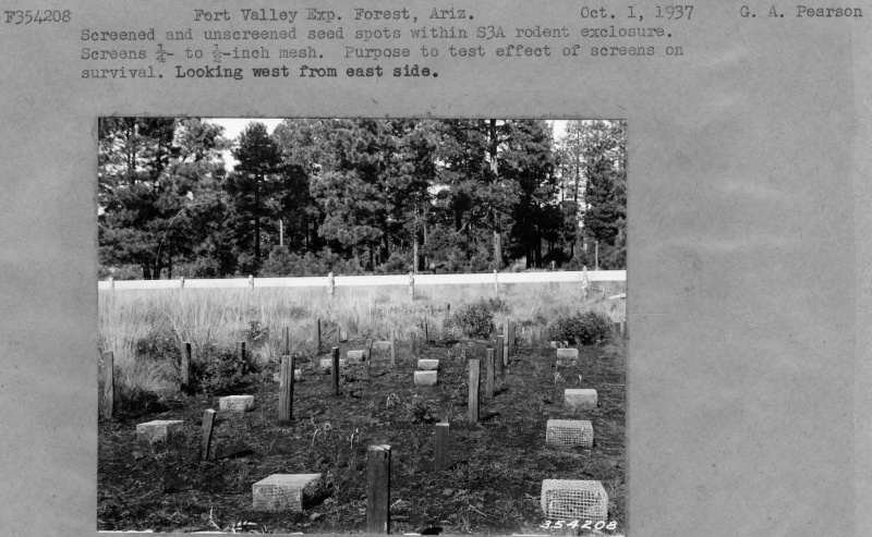 Screened and unscreened seed spots 