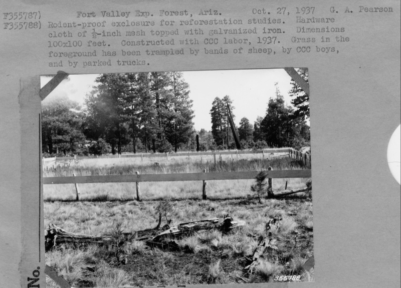 Rodent-proof exclosure for reforestation studies