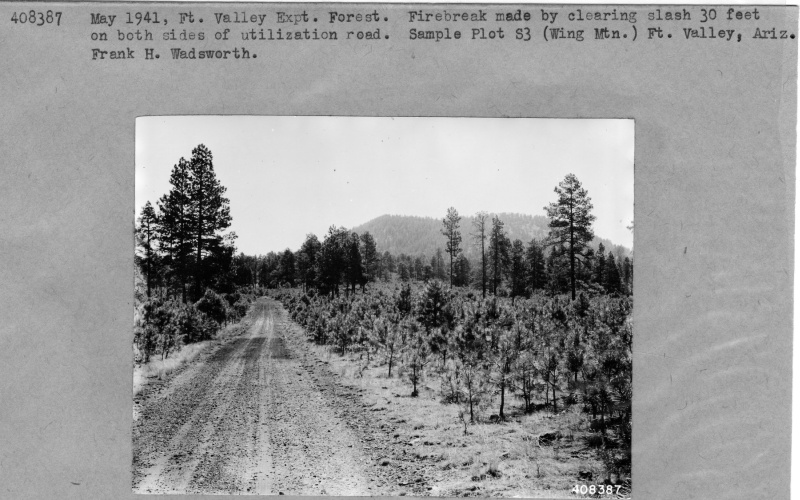 Wing Mountain Utilization Road