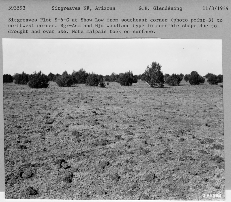 Sitgreaves Plot S 6 C
